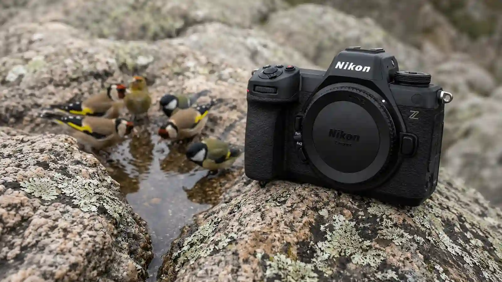 Nikon Z6III VS Z8