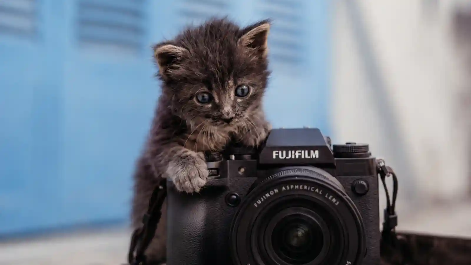review of fujifilm X-H2