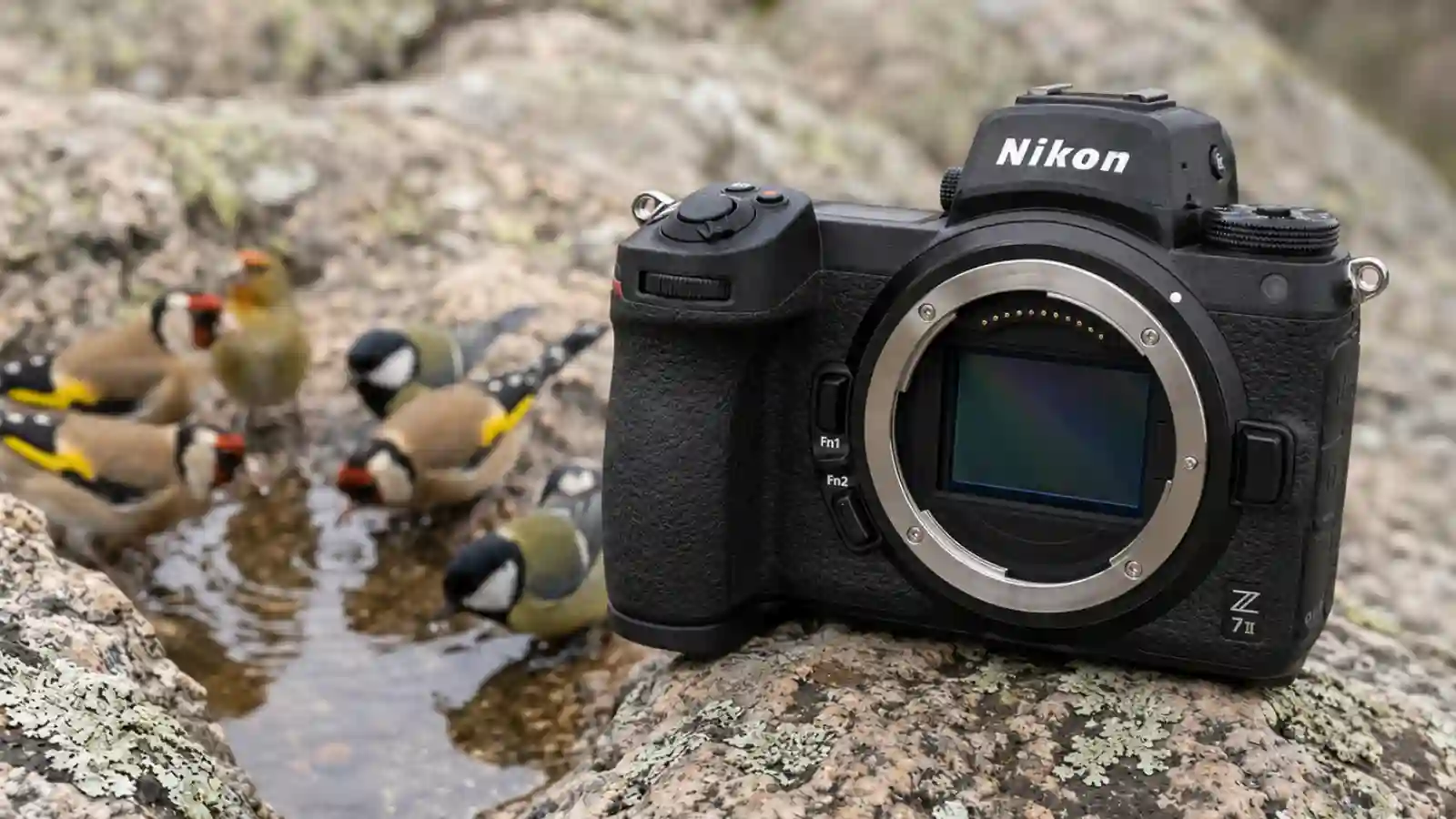 Nikon Z7 II