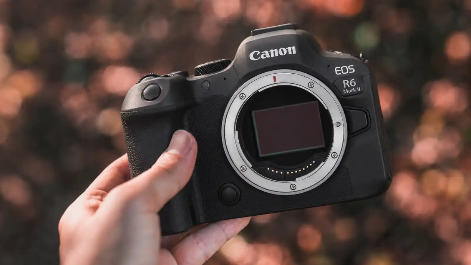 Canon EOS R6 Mark II